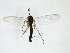  ( - TSZD-JKJ-103252)  @11 [ ] CreativeCommons - Attribution Non-Commercial Share-Alike (2017) Unspecified Tromsø University Museum