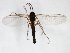  ( - TSZD-JKJ-103253)  @11 [ ] CreativeCommons - Attribution Non-Commercial Share-Alike (2017) Unspecified Tromsø University Museum