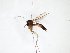  ( - TSZD-JKJ-103265)  @12 [ ] CreativeCommons - Attribution Non-Commercial Share-Alike (2017) Unspecified Tromsø University Museum