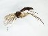  ( - TSZD-JKJ-103266)  @11 [ ] CreativeCommons - Attribution Non-Commercial Share-Alike (2017) Unspecified Tromsø University Museum