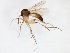  ( - TSZD-JKJ-103274)  @11 [ ] CreativeCommons - Attribution Non-Commercial Share-Alike (2017) Unspecified Tromsø University Museum