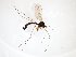  ( - TSZD-JKJ-103283)  @11 [ ] CreativeCommons - Attribution Non-Commercial Share-Alike (2017) Unspecified Tromsø University Museum