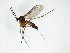  ( - TSZD-JKJ-103309)  @11 [ ] CreativeCommons - Attribution Non-Commercial Share-Alike (2017) Unspecified Tromsø University Museum