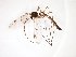  ( - TSZD-JKJ-103316)  @11 [ ] CreativeCommons - Attribution Non-Commercial Share-Alike (2017) Unspecified Tromsø University Museum