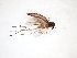  ( - TSZD-JKJ-103347)  @13 [ ] CreativeCommons - Attribution Non-Commercial Share-Alike (2017) Unspecified Tromsø University Museum