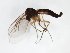  ( - TSZD-JKJ-103397)  @11 [ ] CreativeCommons - Attribution Non-Commercial Share-Alike (2017) Unspecified Tromsø University Museum