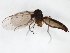  ( - TSZD-JKJ-103398)  @11 [ ] CreativeCommons - Attribution Non-Commercial Share-Alike (2017) Unspecified Tromsø University Museum