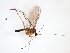  ( - TSZD-JKJ-103400)  @11 [ ] CreativeCommons - Attribution Non-Commercial Share-Alike (2017) Unspecified Tromsø University Museum
