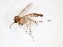  ( - TSZD-JKJ-103403)  @11 [ ] CreativeCommons - Attribution Non-Commercial Share-Alike (2017) Unspecified Tromsø University Museum