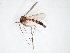  ( - TSZD-JKJ-103404)  @11 [ ] CreativeCommons - Attribution Non-Commercial Share-Alike (2017) Unspecified Tromsø University Museum