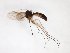  ( - TSZD-JKJ-103423)  @11 [ ] CreativeCommons - Attribution Non-Commercial Share-Alike (2017) Unspecified Tromsø University Museum