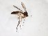  ( - TSZD-JKJ-103439)  @13 [ ] CreativeCommons - Attribution Non-Commercial Share-Alike (2017) Unspecified Tromsø University Museum