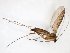  ( - TSZD-JKJ-103449)  @11 [ ] CreativeCommons - Attribution Non-Commercial Share-Alike (2017) Unspecified Tromsø University Museum
