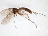  ( - TSZD-JKJ-103452)  @13 [ ] CreativeCommons - Attribution Non-Commercial Share-Alike (2017) Unspecified Tromsø University Museum