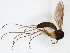  ( - TSZD-JKJ-103464)  @13 [ ] CreativeCommons - Attribution Non-Commercial Share-Alike (2017) Unspecified Tromsø University Museum
