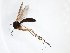  ( - TSZD-JKJ-103472)  @11 [ ] CreativeCommons - Attribution Non-Commercial Share-Alike (2017) Unspecified Tromsø University Museum