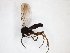  ( - TSZD-JKJ-103492)  @11 [ ] CreativeCommons - Attribution Non-Commercial Share-Alike (2017) Unspecified Tromsø University Museum