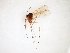  ( - TSZD-JKJ-103511)  @11 [ ] CreativeCommons - Attribution Non-Commercial Share-Alike (2017) Unspecified Tromsø University Museum