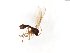  ( - TSZD-JKJ-103800)  @11 [ ] CreativeCommons - Attribution Non-Commercial Share-Alike (2017) Unspecified Tromsø University Museum