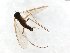  ( - TSZD-JKJ-103830)  @13 [ ] CreativeCommons - Attribution Non-Commercial Share-Alike (2017) Unspecified Tromsø University Museum
