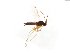  ( - TSZD-JKJ-103840)  @11 [ ] CreativeCommons - Attribution Non-Commercial Share-Alike (2017) Unspecified Tromsø University Museum