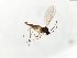  ( - TSZD-JKJ-103855)  @11 [ ] CreativeCommons - Attribution Non-Commercial Share-Alike (2017) Unspecified Tromsø University Museum