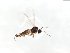  ( - TSZD-JKJ-103856)  @11 [ ] CreativeCommons - Attribution Non-Commercial Share-Alike (2017) Unspecified Tromsø University Museum