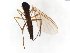  ( - TSZD-JKJ-103864)  @11 [ ] CreativeCommons - Attribution Non-Commercial Share-Alike (2017) Unspecified Tromsø University Museum