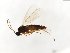  ( - TSZD-JKJ-103872)  @11 [ ] CreativeCommons - Attribution Non-Commercial Share-Alike (2017) Unspecified Tromsø University Museum