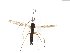  ( - TSZD-JKJ-103878)  @11 [ ] CreativeCommons - Attribution Non-Commercial Share-Alike (2017) Unspecified Tromsø University Museum
