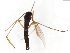  ( - TSZD-JKJ-103905)  @11 [ ] CreativeCommons - Attribution Non-Commercial Share-Alike (2017) Unspecified Tromsø University Museum