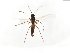  ( - TSZD-JKJ-103907)  @13 [ ] CreativeCommons - Attribution Non-Commercial Share-Alike (2017) Unspecified Tromsø University Museum