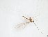  ( - TSZD-JKJ-104250)  @11 [ ] CreativeCommons - Attribution Non-Commercial Share-Alike (2018) Unspecified Tromsø University Museum