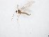  ( - TSZD-JKJ-104252)  @11 [ ] CreativeCommons - Attribution Non-Commercial Share-Alike (2018) Unspecified Tromsø University Museum
