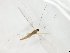  ( - TSZD-JKJ-104272)  @11 [ ] CreativeCommons - Attribution Non-Commercial Share-Alike (2018) Unspecified Tromsø University Museum