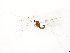  ( - TSZD-JKJ-104278)  @11 [ ] CreativeCommons - Attribution Non-Commercial Share-Alike (2018) Unspecified Tromsø University Museum