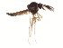  ( - TSZD-JKJ-104337)  @12 [ ] CreativeCommons - Attribution Non-Commercial Share-Alike (2018) Unspecified Tromsø University Museum