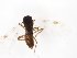  ( - TSZD-JKJ-104338)  @12 [ ] CreativeCommons - Attribution Non-Commercial Share-Alike (2018) Unspecified Tromsø University Museum