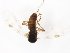  ( - TSZD-JKJ-104338)  @12 [ ] CreativeCommons - Attribution Non-Commercial Share-Alike (2018) Unspecified Tromsø University Museum