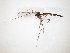  ( - TSZD-JKJ-104357)  @11 [ ] CreativeCommons - Attribution Non-Commercial Share-Alike (2018) Unspecified Tromsø University Museum