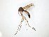  ( - TSZD-JKJ-104358)  @13 [ ] CreativeCommons - Attribution Non-Commercial Share-Alike (2018) Unspecified Tromsø University Museum