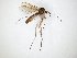  ( - TSZD-JKJ-104359)  @13 [ ] CreativeCommons - Attribution Non-Commercial Share-Alike (2018) Unspecified Tromsø University Museum
