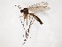  ( - TSZD-JKJ-104376)  @11 [ ] CreativeCommons - Attribution Non-Commercial Share-Alike (2018) Unspecified Tromsø University Museum
