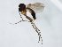  ( - TSZD-JKJ-104380)  @11 [ ] CreativeCommons - Attribution Non-Commercial Share-Alike (2018) Unspecified Tromsø University Museum