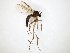  ( - TSZD-JKJ-104387)  @13 [ ] CreativeCommons - Attribution Non-Commercial Share-Alike (2018) Unspecified Tromsø University Museum