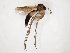  ( - TSZD-JKJ-104389)  @11 [ ] CreativeCommons - Attribution Non-Commercial Share-Alike (2018) Unspecified Tromsø University Museum