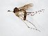  ( - TSZD-JKJ-104391)  @11 [ ] CreativeCommons - Attribution Non-Commercial Share-Alike (2018) Unspecified Tromsø University Museum