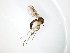  ( - TSZD-JKJ-104399)  @11 [ ] CreativeCommons - Attribution Non-Commercial Share-Alike (2018) Unspecified Tromsø University Museum