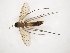  ( - TSZD-JKJ-104403)  @11 [ ] CreativeCommons - Attribution Non-Commercial Share-Alike (2018) Unspecified Tromsø University Museum