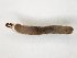  ( - TSZD-JKJ-104499)  @12 [ ] CreativeCommons - Attribution Non-Commercial Share-Alike (2018) Unspecified Tromsø University Museum